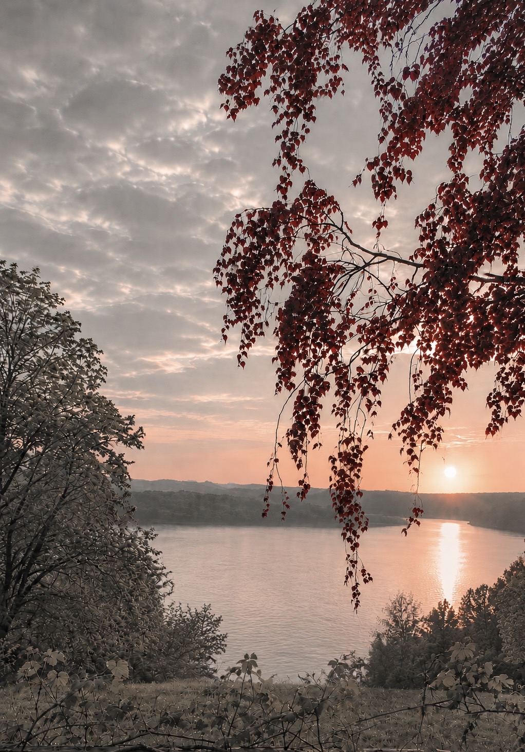 Widok na jezioro